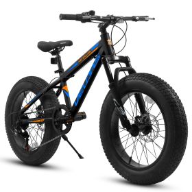 V20235 20 Inch Fat Tire Bike Adult 7 Speed Mountain Bike, Dual Disc Brakes, High Carbon Steel Frame, Front Suspension, Mountain Buggy (Color: Black)